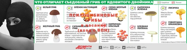 гидра Касимов