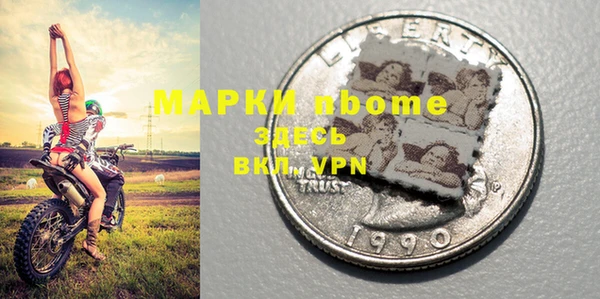 индика Каменка
