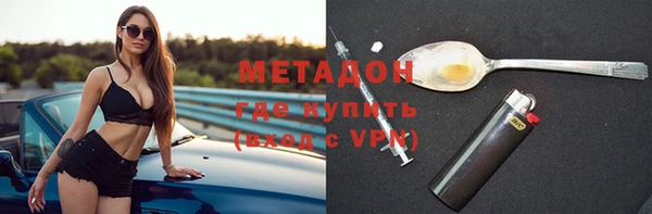 индика Каменка