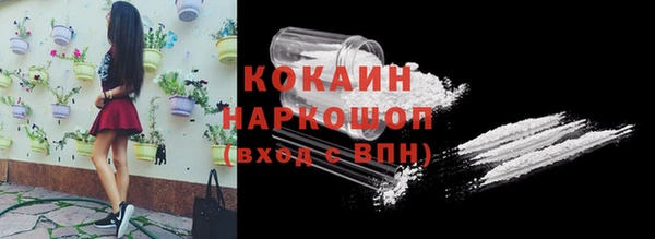 индика Каменка