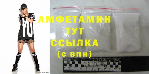 индика Каменка