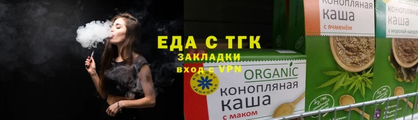 индика Каменка