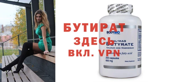 индика Каменка