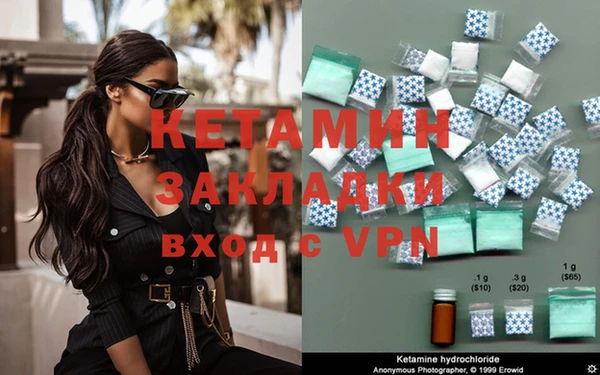 индика Каменка