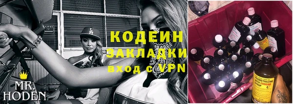 шишки Карпинск