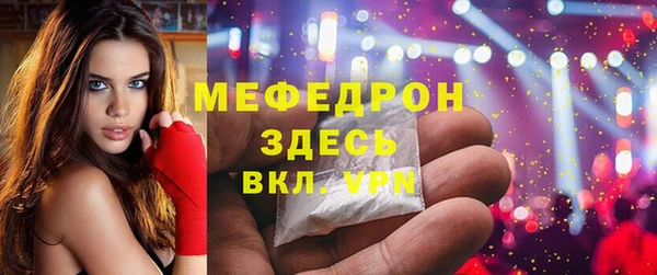 индика Каменка