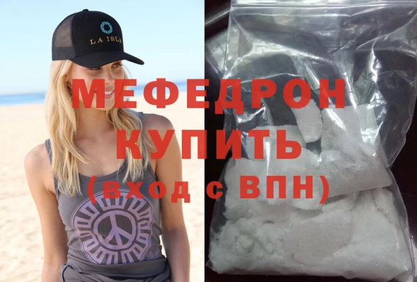 индика Каменка