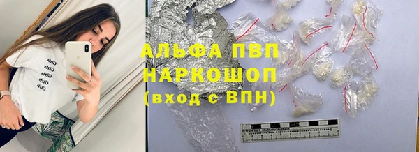индика Каменка