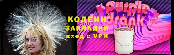 шишки Карпинск