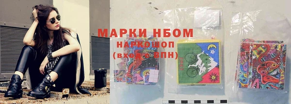 гидра Касимов