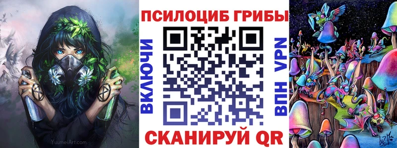 Купить закладки  Томари  Галлюциногенные грибы Psilocybe 